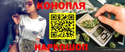 spice Новозыбков