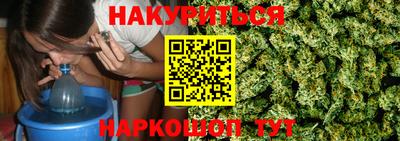 spice Новозыбков