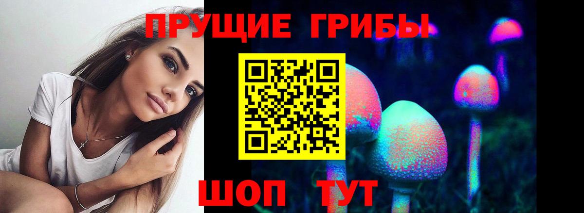 Псилоцибиновые грибы прущие грибы Урюпинск